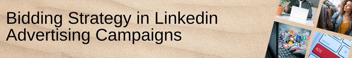 Bidding Strategy in Linkedin Advertising Campaigns