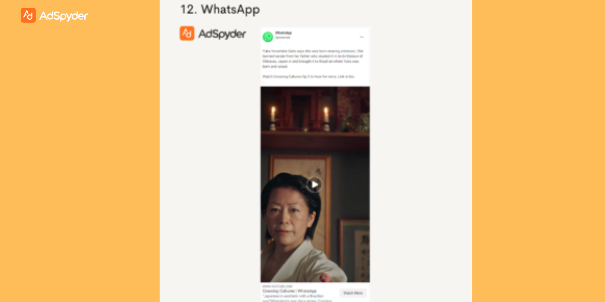 Instagram ad campaigns 2024