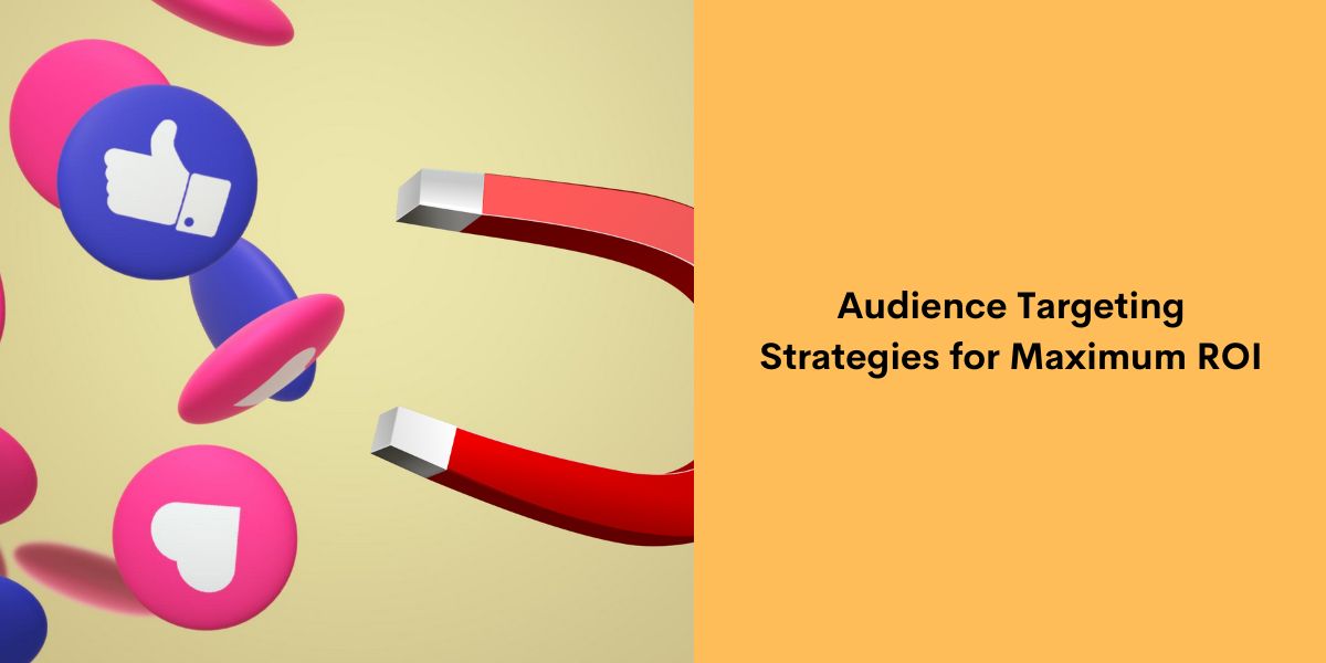 Audience Targeting Strategies for Maximum ROI