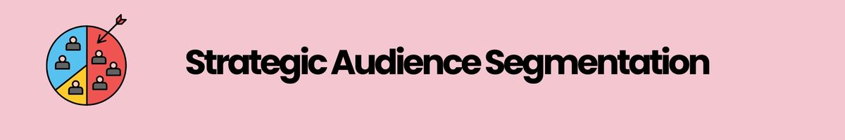 Strategic Audience Segmentation