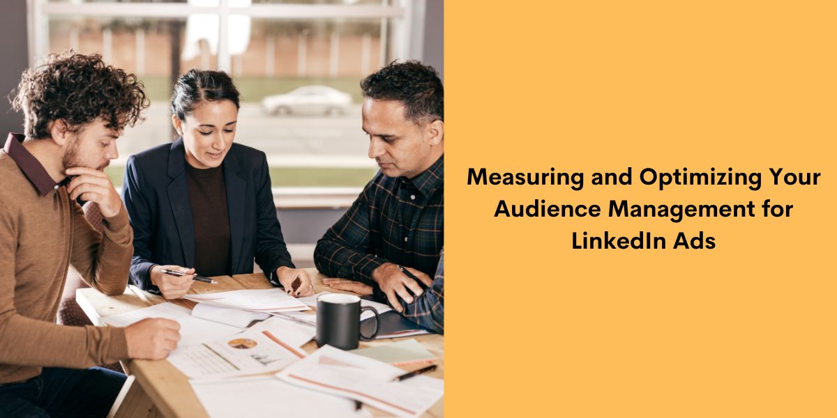 Measuring and Optimizing Your Audience Management for LinkedIn Ads