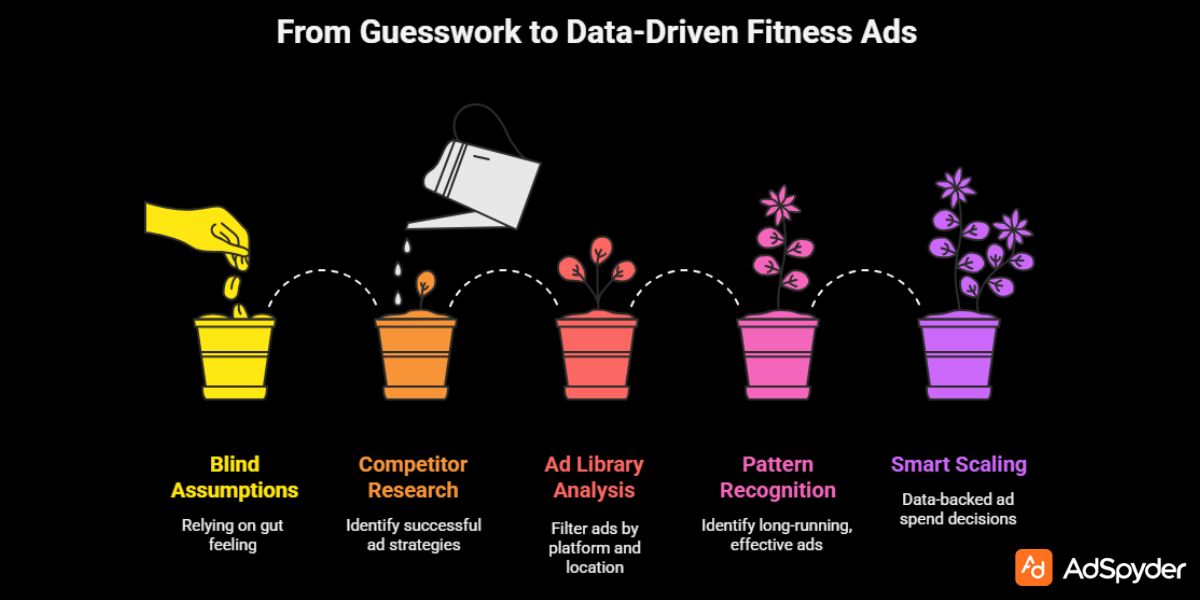 Identify Winning Social Media Ads for Fitness in your Market