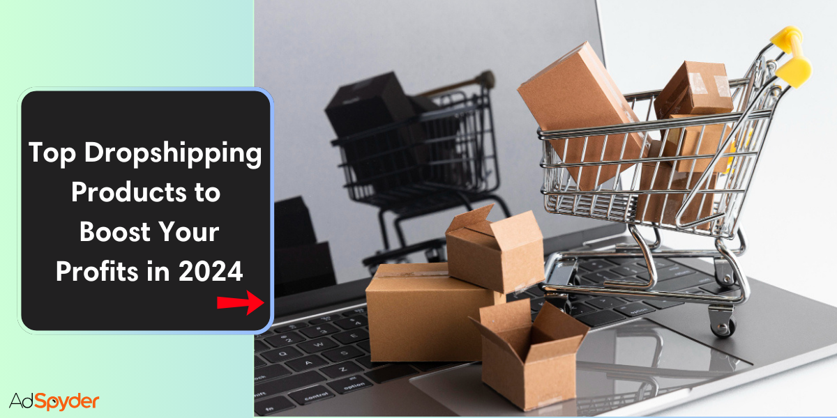 Top Dropshipping Products to Boost Your Profits in 2024